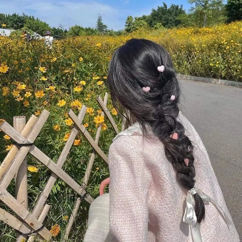 寻芳浪蝶